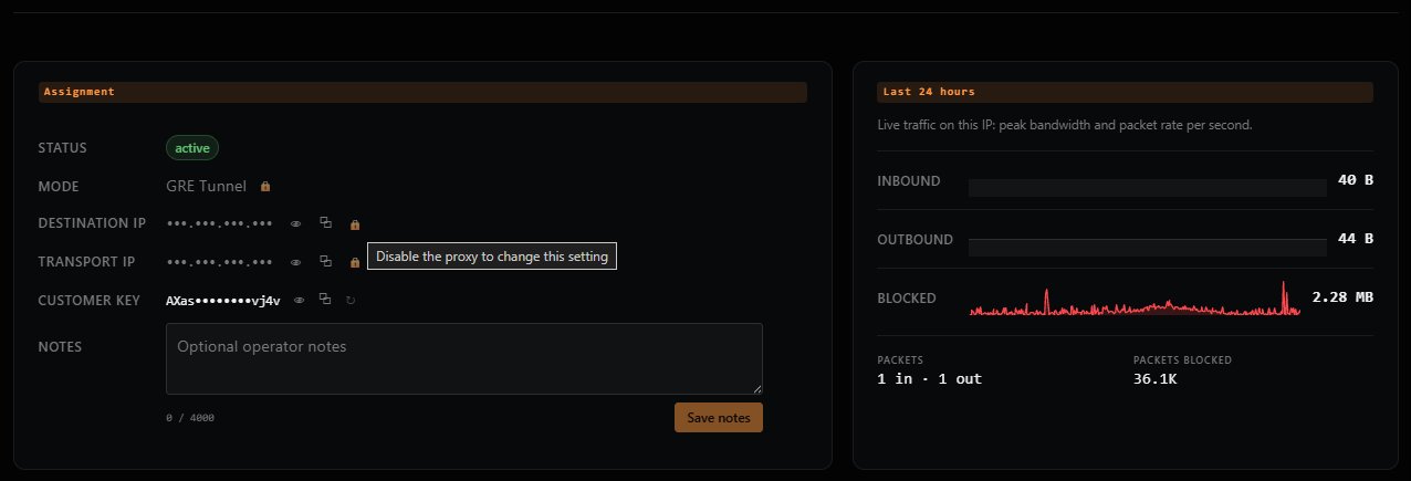 Dashboard showing an active GRE Tunnel proxy