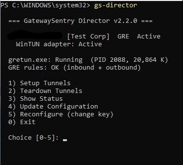 gs-director interactive menu